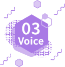 Voice 03